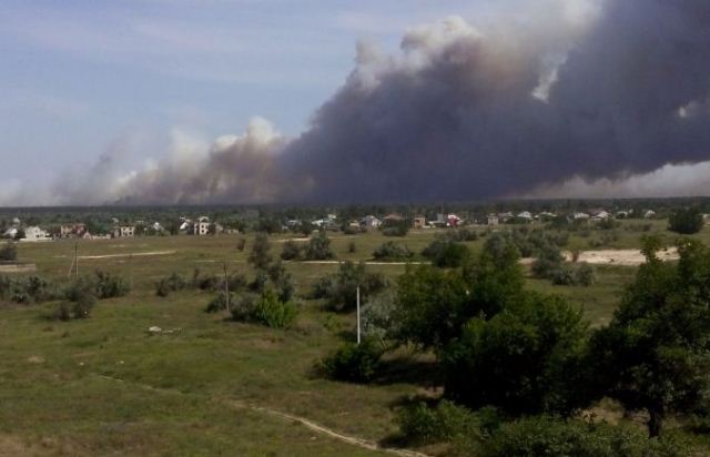 пожар цюрупинский лес