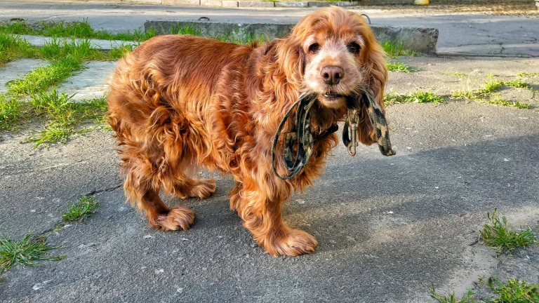 Як минула подовжена комендантська година в Херсоні