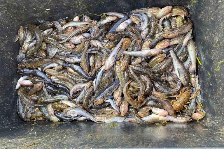 На Херсонщині виявили браконьєрів