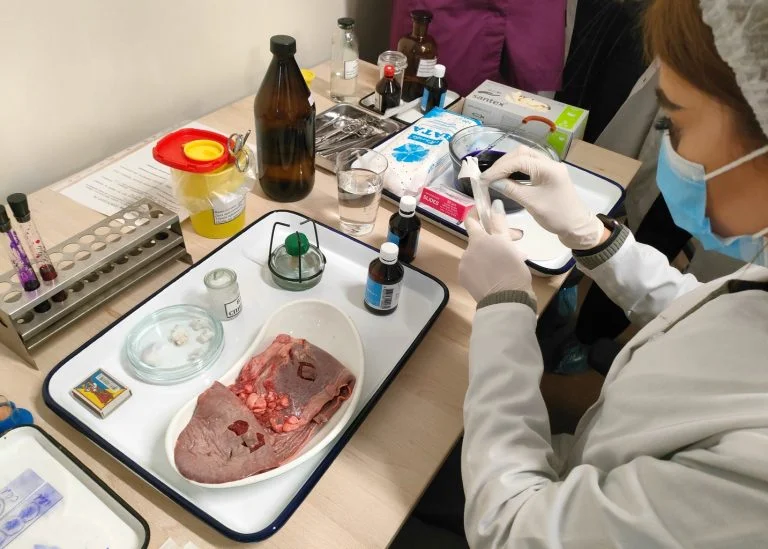 На двох ринках Херсона відновили роботу лабораторії ветсанекспертизи