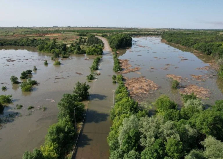 На Херсонщині може бути затоплено майже 55 тис. гектарів лісів
