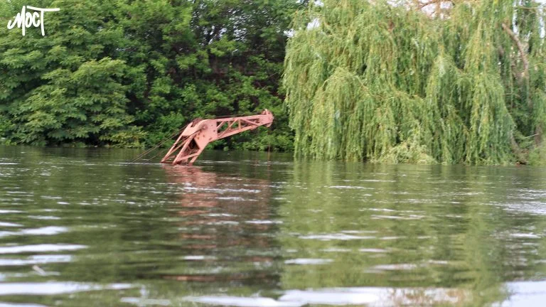 Дно Каховського водосховища, яке перетворилося на вербовий ліс, позитивно впливає на екологію, – експертка