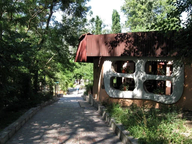 Частину тварин із зоопарку “Казкова діброва” у Новій Каховці вдалося врятувати (відео)