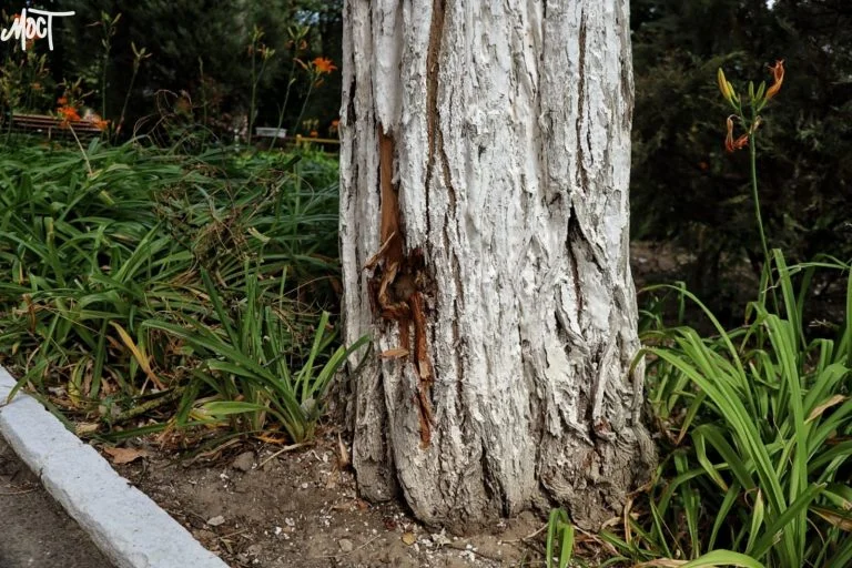 Окупанти знову обстріляли передмістя Херсона: постраждав чоловік