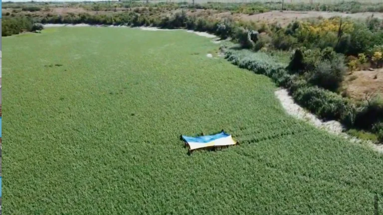 На дні Каховського водосховища працівники Нацпарку “Кам’янська Січ” розгорнули державний прапор (відео)