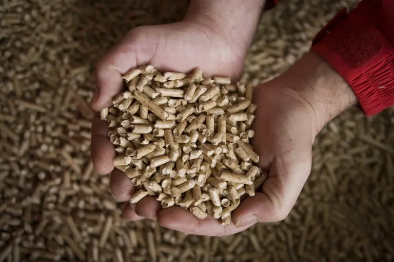 Бериславська лікарня придбала паливні гранули на понад 1 млн гривень