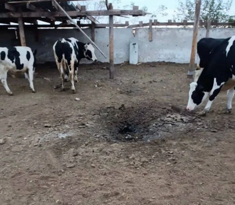 Окупанти обстріляли Новодмитрівку на Херсонщині