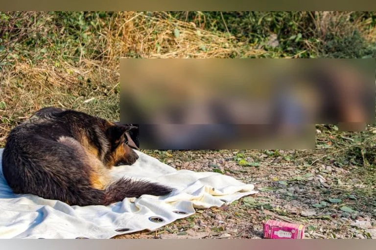 Кількість потерпілих через бомбардування Антонівки зросла до 8