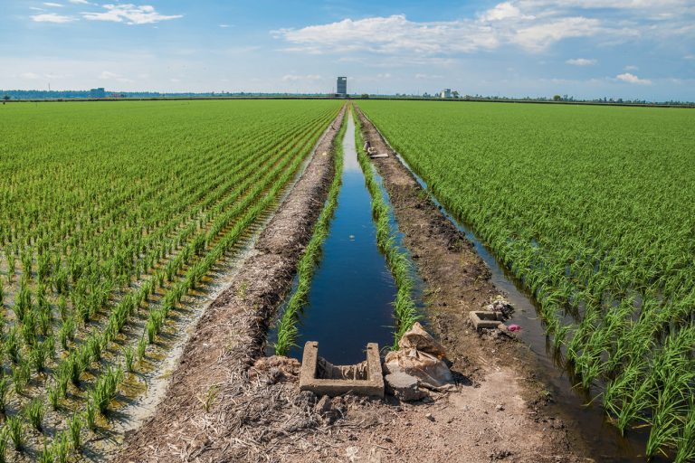 На Херсонщині розробляють план відновлення зрошувальної системи