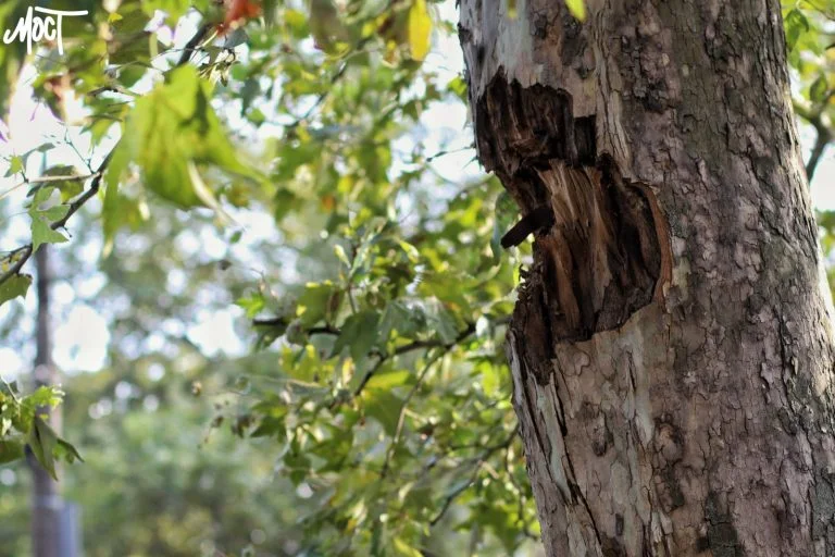 Учора окупанти випустили по Херсонщині 529 снарядів