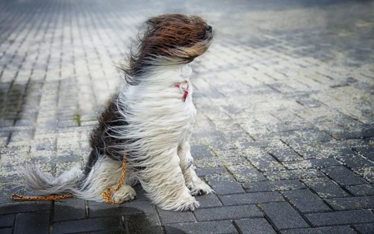 Завтра на Херсонщині очікується погіршення погодних умов