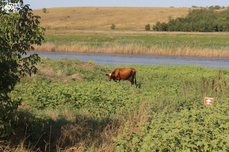 На правобережжі Херсонщини розміновано майже 20% територій