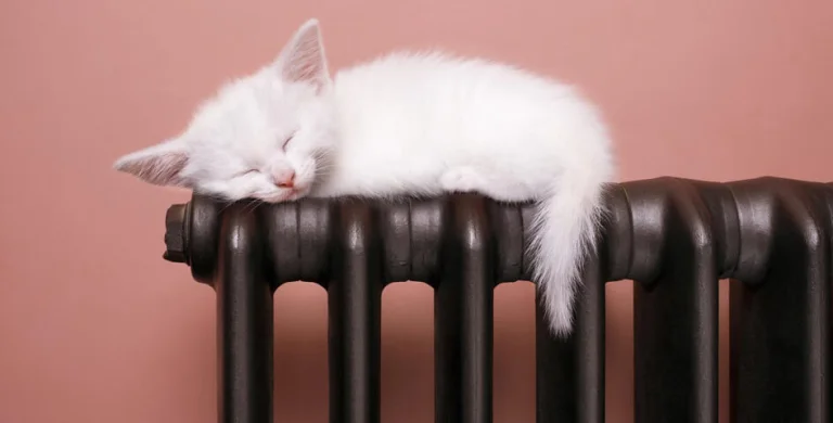 Опалення у Херсоні на сьогодні мають 90% об’єктів, – МВА