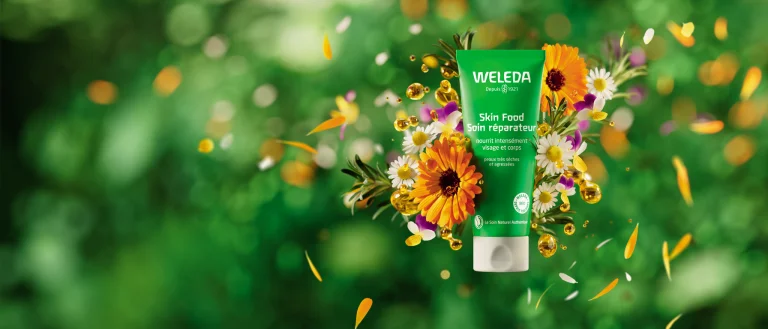 Натуральная и органическая косметика. Тайны заботы за телом