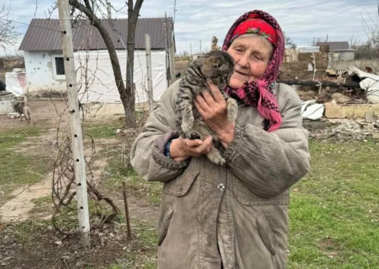 UAnimals передали корм для тварин на Херсонщині