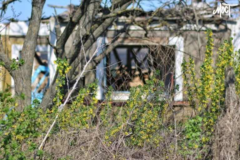 Армія РФ завдала удару по Золотій Балці на Херсонщині: є поранений