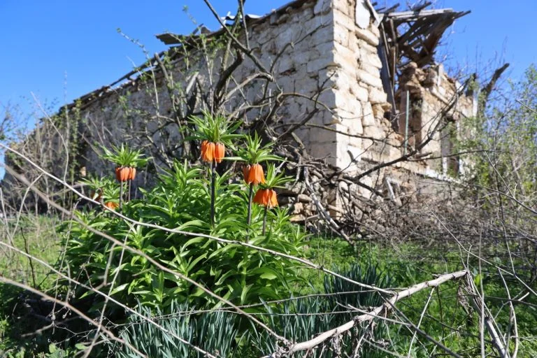 Росіяни обстріляли Широку Балку: постраждало подружжя