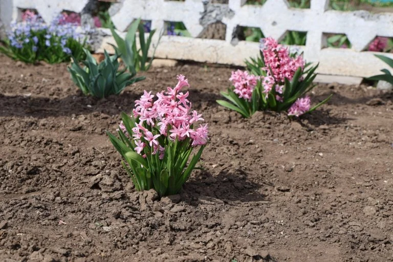 На підготовку до 8 березня Херсонська обласна адміністрація витратила 46 тис. грн
