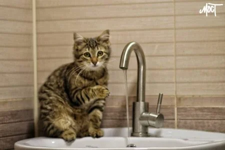 У Херсоні не з’явилася вода у кранах попри обіцянки влади подавати її за графіком