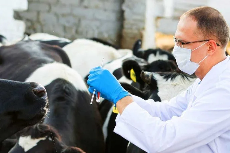 На ТОТ Херсонщини незаконне управління ветеринарії встановило ціни на послуги своїх установ