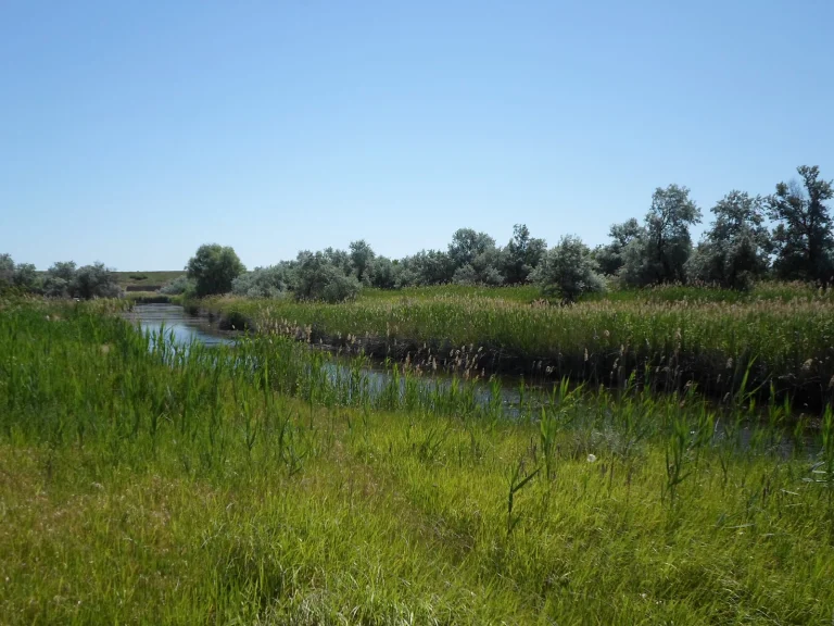 Окупанти обіцяють відновити гідротехнічну споруду Каланчацького лиману