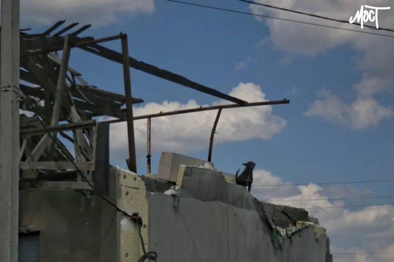 Минулої доби через російські обстріли на Херсонщині загинула людина