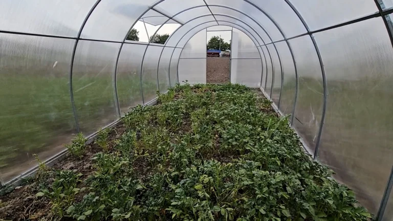 Аграрії з Херсонщини отримали теплиці від міжнародних партнерів
