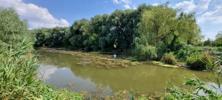 Окупанти встановили межі водоохоронних зон річки Каланчак на Херсонщині