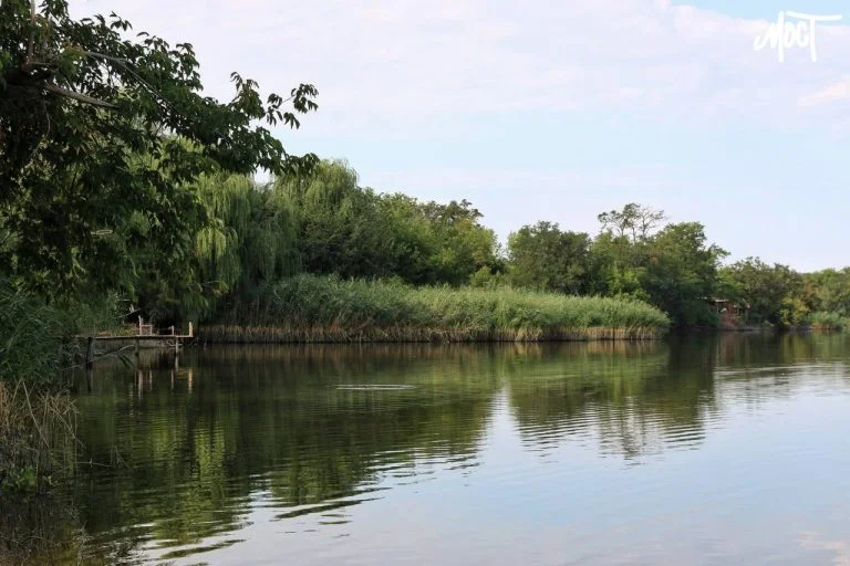 На Херсонщині запобігли незаконному вилову риби на понад 665 тисяч гривень