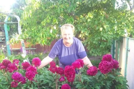 Окупаційну голову Агайман засудили за колабораціонізм і причетність до викрадення студентки