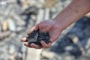 Окупанти визначилися із планами посіву на лівобережжі Херсонщини на 2025 рік