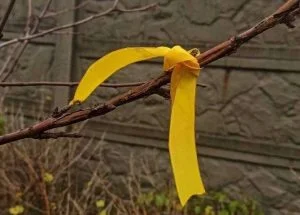 жовта стрічка на херсонщині