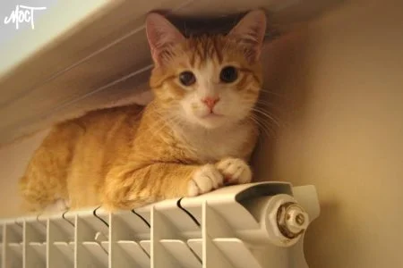 ХОВА хоче облаштувати у херсонських укриттях пункти обігріву