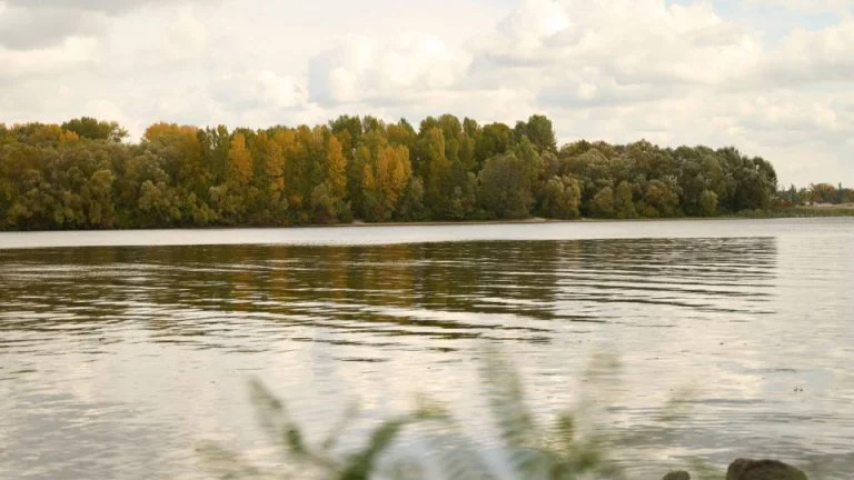 Окупанти намагаються перетнути Дніпровські протоки, але не мають успіху – Волошин