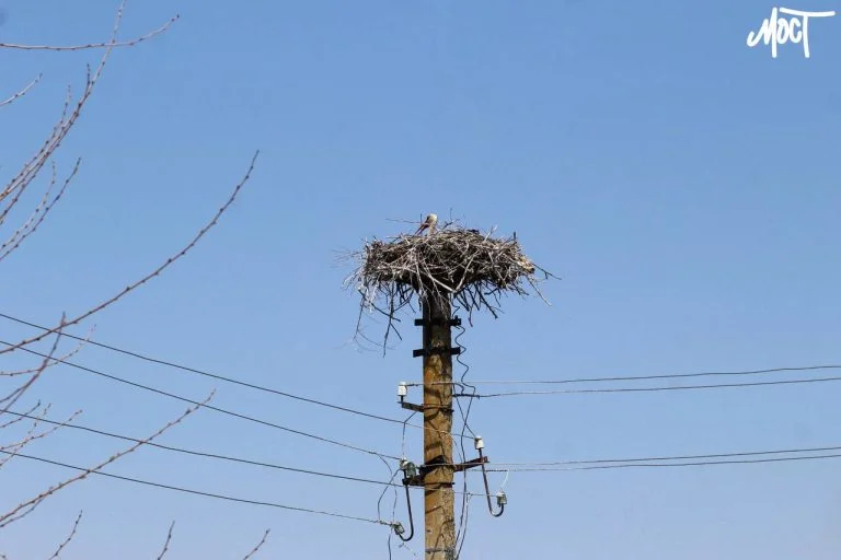 На Херсонщині за добу через російські обстріли загинула одна людина, троє – поранені