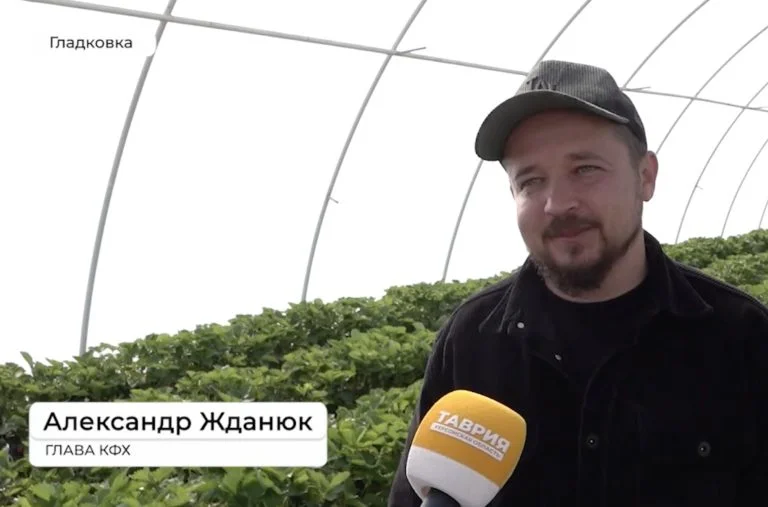 Син окупаційного директора заповідника на Херсонщині продає полуницю в РФ