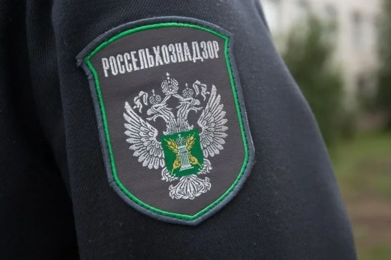 Окупаційна влада планує відкрити незаконну лабораторію Россільгоспцентру в Каланчаку