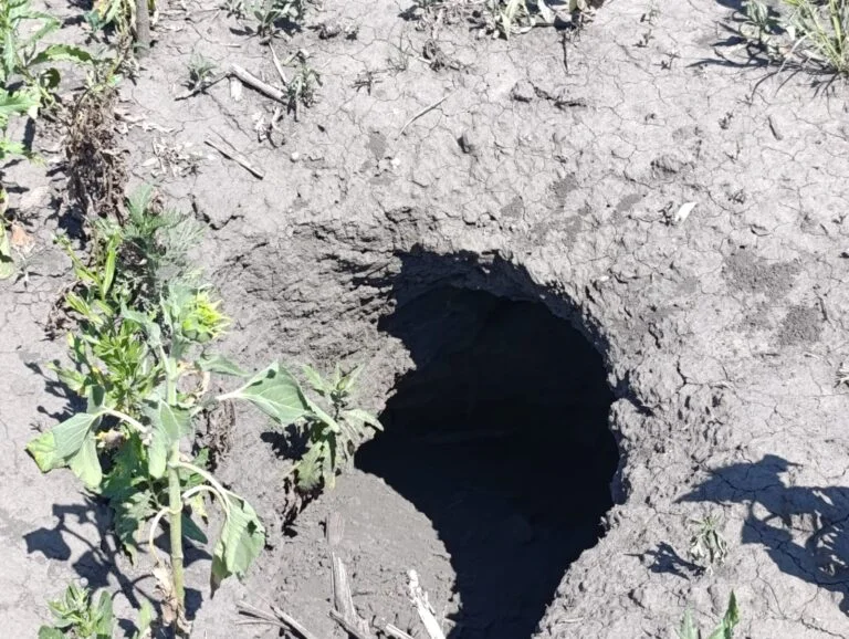 Карстове провалля у полі Херсонщини: агрометеорологи зафіксували наслідки обміління підземних вод