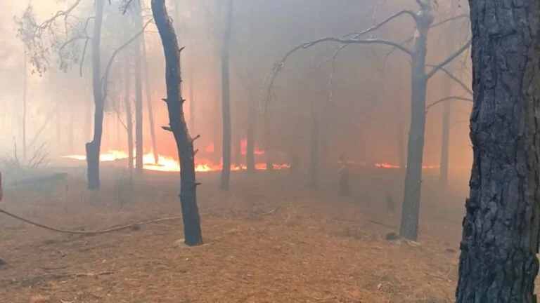 В “Олешківських пісках” уже другу добу палає ліс
