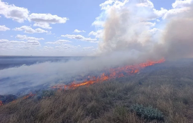 У заповіднику “Асканія-Нова” сталася велика пожежа, спричинена роботою російської ППО (фото)