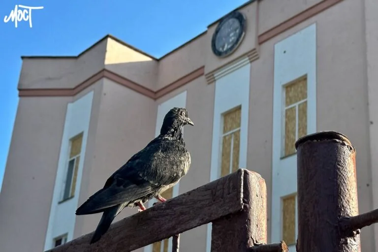 На Херсонщині за добу через російську агресію загинуло 2 людини, 8 – були поранені