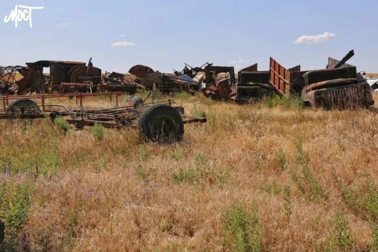 Окупаційна влада Херсонщини заявляє про зниження врожайності зернових у 2,5 рази
