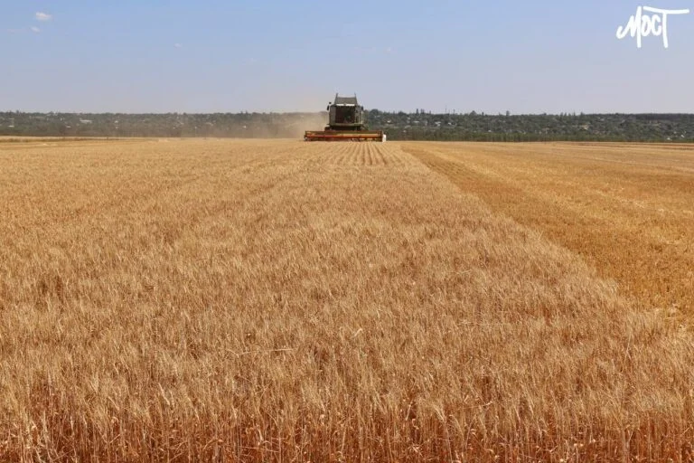 На Херсонщині створили робочу групу для вирішення податкових питань аграріїв Збір урожаю на Херсонщині