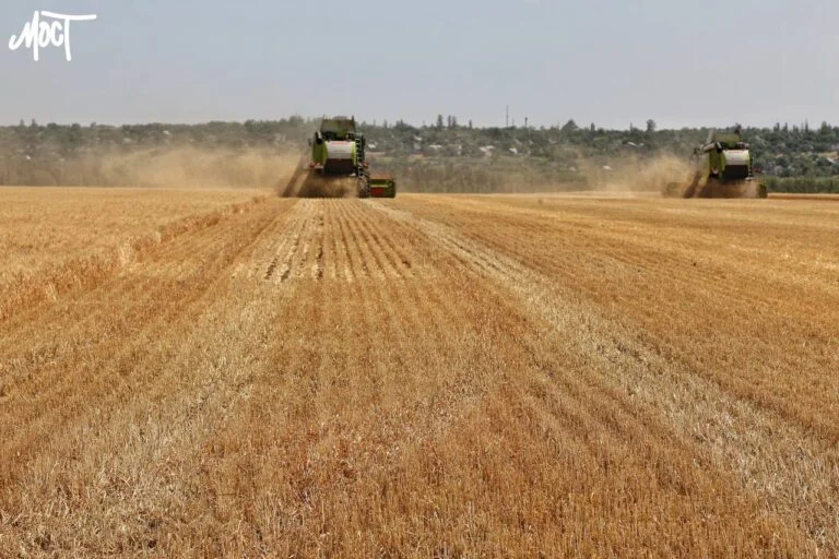 Цьогоріч на Херсонщині засіяли понад 900 гектарів полів кукурудзи
