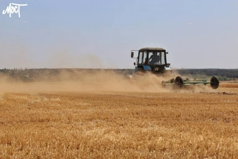 Шістнадцятьох власників землі у Херсоні звільнили від сплати податку за 2023 рік поле