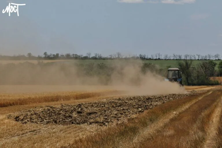Херсонщина увійшла до топ-10 регіонів за кількістю агрокомпаній