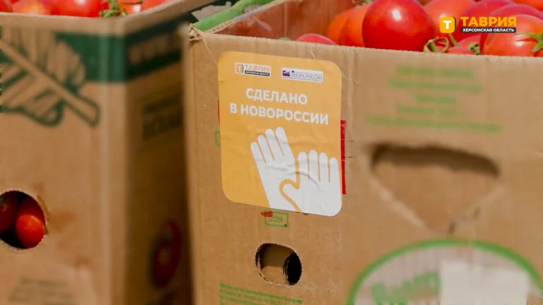 Російські торгові мережі не беруть томати з ТОТ Херсонщини
