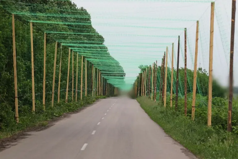 Альтернативна дорога з Миколаєва до Херсона: посадовці з ОВА готують документи на її відновлення