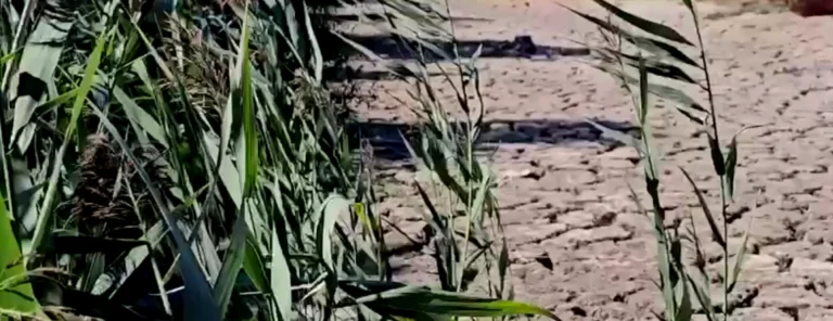 Який вигляд має річка Вірьовчіна після знищення греблі Каховської ГЕС (ВІДЕО)