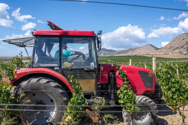 Китайський чи японський мінітрактор: що краще для городу і саду?